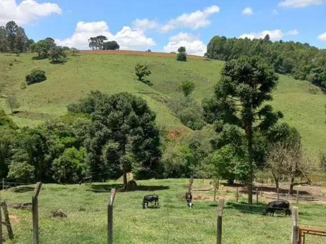 Sítio / Chácara para Venda em Santa Rita de Caldas/MG Zona Rural 3 Quartos