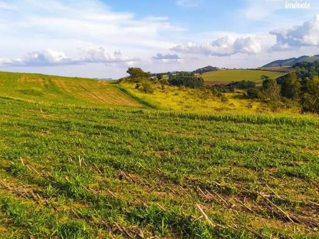 Sítio / Chácara para Venda em Santa Rita de Caldas/MG Zona Rural