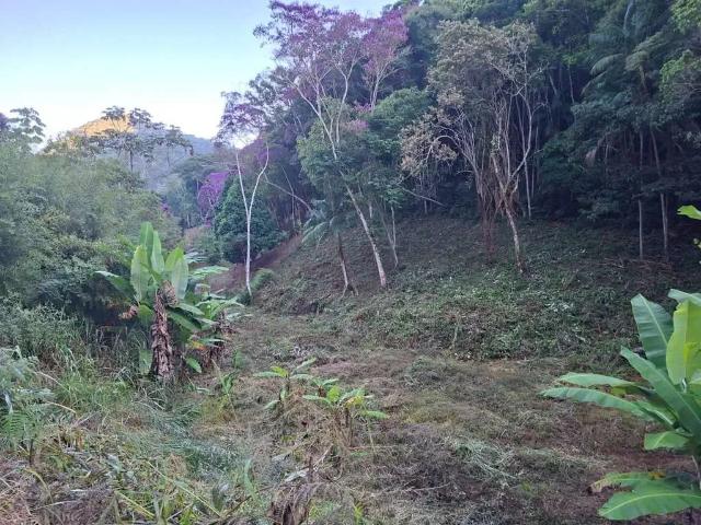 Sítio / Chácara para Venda em Santa Teresa/ES Centro