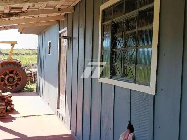 Sítio / Chácara para Venda em Santa Tereza do Oeste/PR Centro
