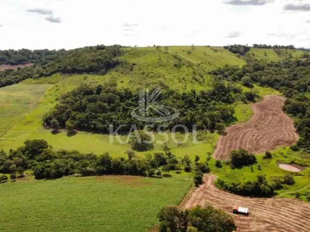 Sítio / Chácara para Venda em Santa Tereza do Oeste/PR Zona Rural
