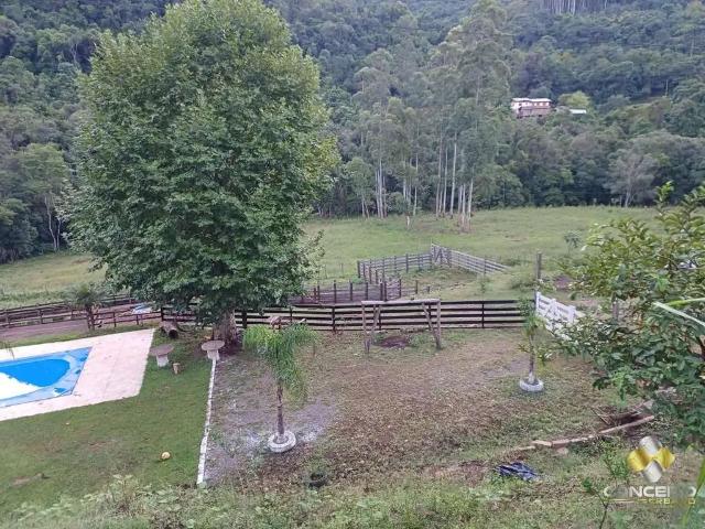 Sítio / Chácara para Venda em Santa Tereza/RS Zona Rural 2 Quartos