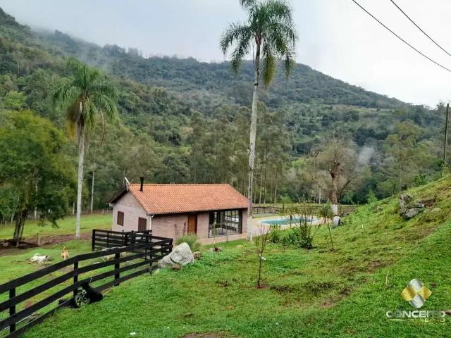 Sítio / Chácara para Venda em Santa Tereza/RS Zona Rural 2 Quartos