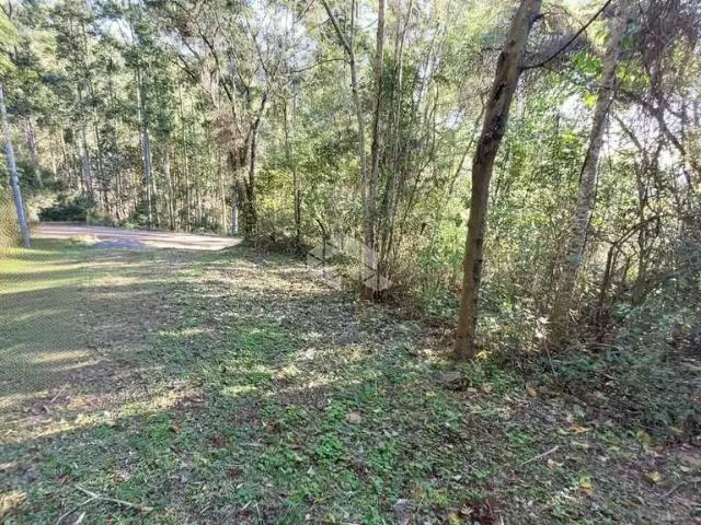 Sítio / Chácara para Venda em Santa Tereza/RS Zona Rural 3 Quartos