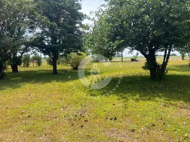 Sítio / Chácara para Venda em Santa Terezinha de Itaipu/PR Centro 1 Quartos