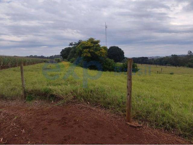Sítio / Chácara para Venda em Santa Terezinha de Itaipu/PR Centro 1 Quartos