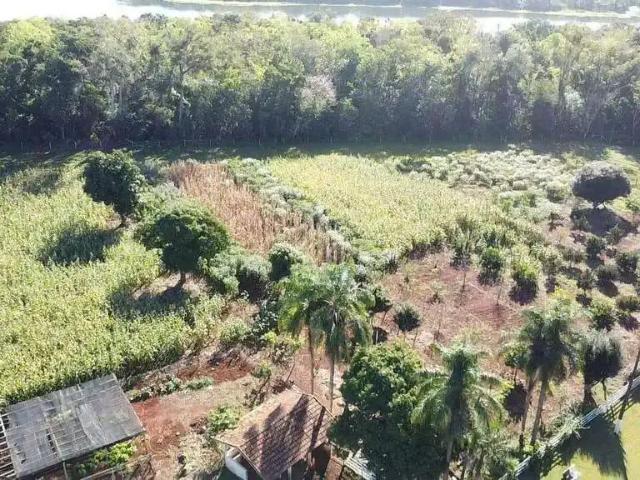 Sítio / Chácara para Venda em Santa Terezinha de Itaipu/PR Centro