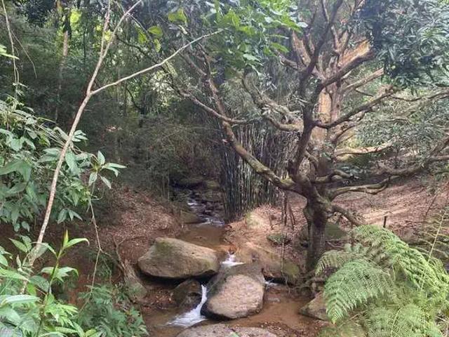 Sítio / Chácara para Venda em Santana do Paraíso/MG Zona Rural 2 Quartos