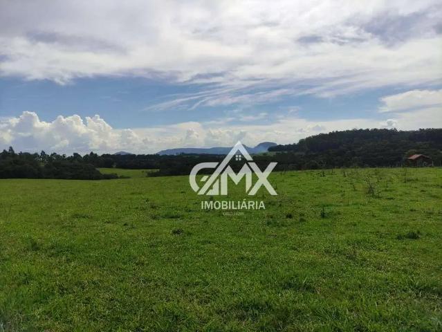 Sítio / Chácara para Venda em Sapopema/PR Zona Rural