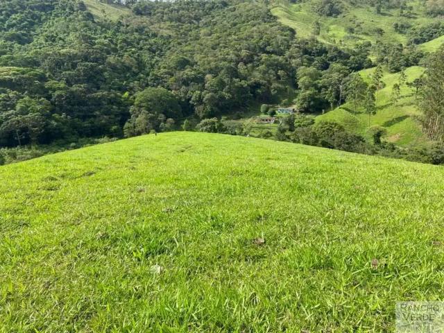 Sítio / Chácara para Venda em Sapucaí Mirim/MG Nogueiras