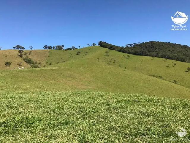 Sítio / Chácara para Venda em Sapucaí Mirim/MG Centro