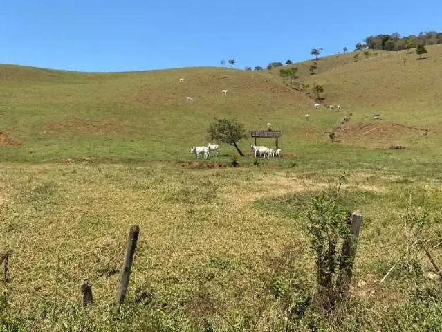 Sítio / Chácara para Venda em Sapucaí Mirim/MG Centro