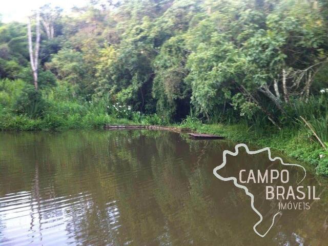 Sítio / Chácara para Venda em Sapucaí Mirim/MG Centro 3 Quartos