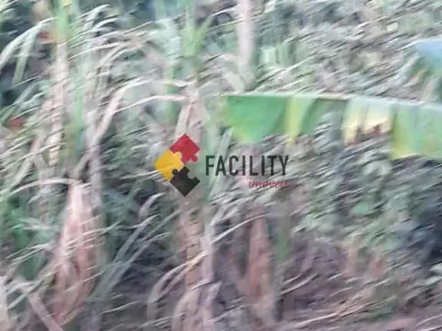 Sítio / Chácara para Venda em Sapucaí Mirim/MG Centro 3 Quartos