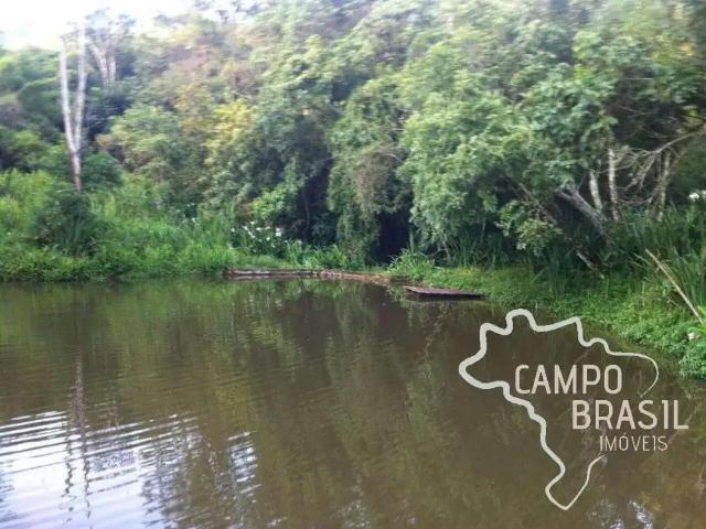 Sítio / Chácara para Venda em Sapucaí Mirim/MG Zona Rural 3 Quartos