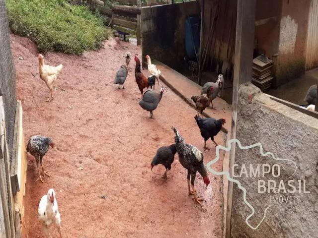 Sítio / Chácara para Venda em Sapucaí Mirim/MG Zona Rural 2 Quartos