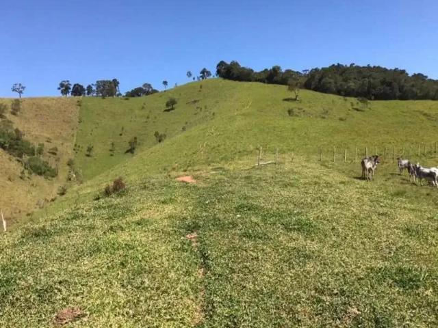 Sítio / Chácara para Venda em Sapucaí Mirim/MG Zona Rural