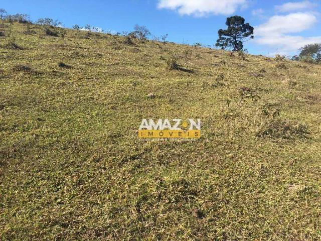 Sítio / Chácara para Venda em Sapucaí Mirim/MG Zona Rural