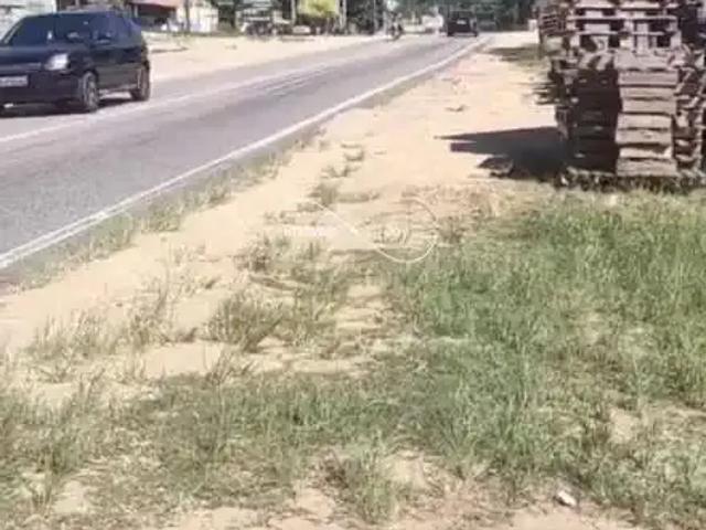 Sítio / Chácara para Venda em Saquarema/RJ Bacaxá 4 Quartos