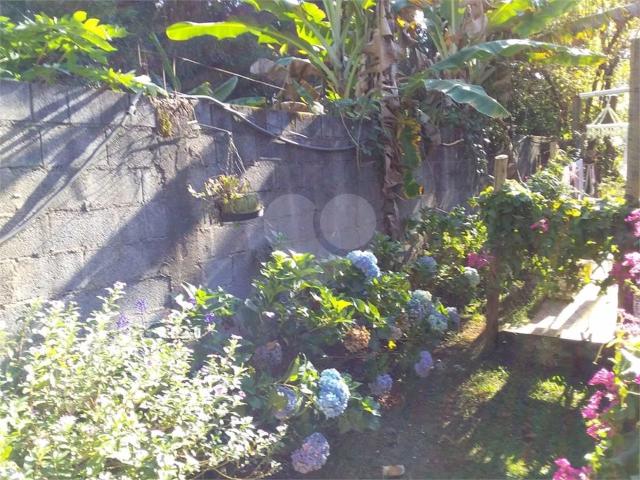 Sítio / Chácara para Venda em Sarandi/PR Jardim Centro Civico 3 Quartos