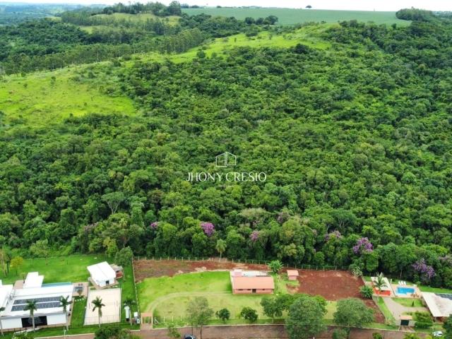 Sítio / Chácara para Venda em Sarandi/PR Parque Alvamar 2 Quartos