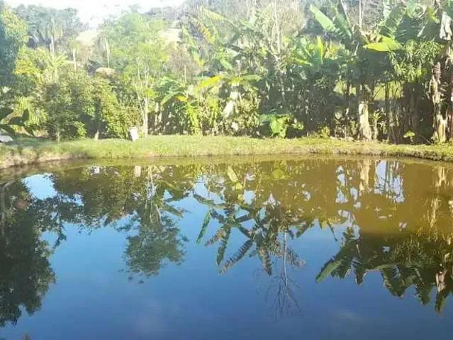 Sítio / Chácara para Venda em Sarapuí/SP Morada do Sol 3 Quartos