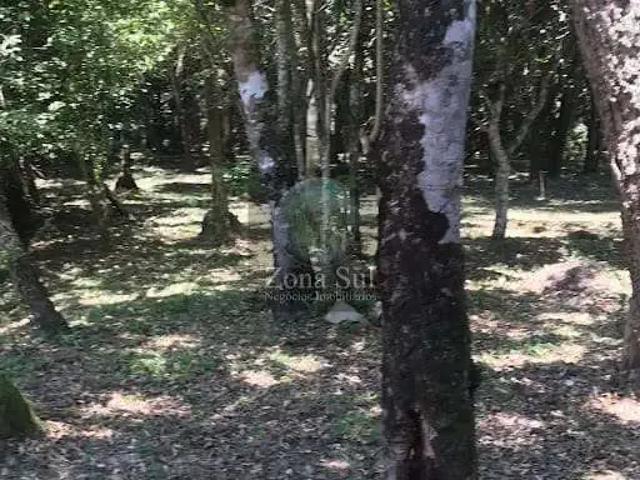 Sítio / Chácara para Venda em Sarapuí/SP Caieiras 2 Quartos