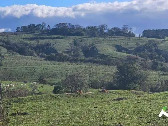 Sítio / Chácara para Venda em Sarapuí/SP Centro