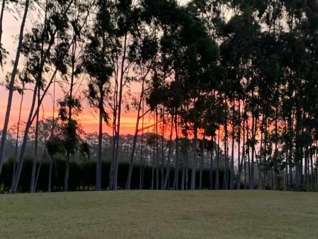 Sítio / Chácara para Venda em Sarapuí/SP Zona Rural 3 Quartos