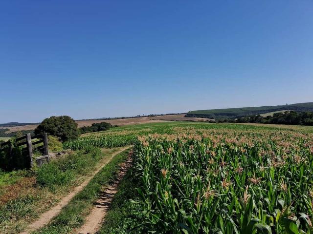 Sítio / Chácara para Venda em Sarapuí/SP Zona Rural 2 Quartos