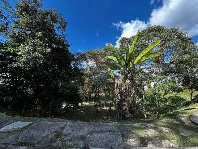 Sítio / Chácara para Venda em Sarzedo/MG Centro