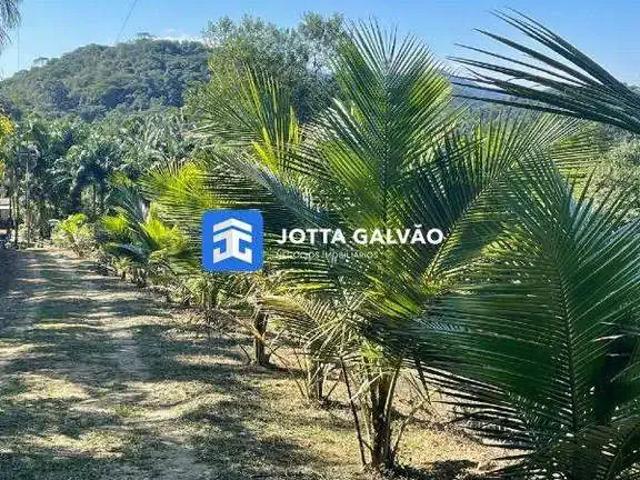 Sítio / Chácara para Venda em Sete Barras/SP Centro 3 Quartos