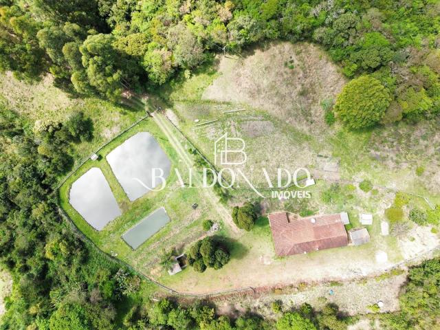 Sítio / Chácara para Venda em Senador Amaral/MG Centro 4 Quartos