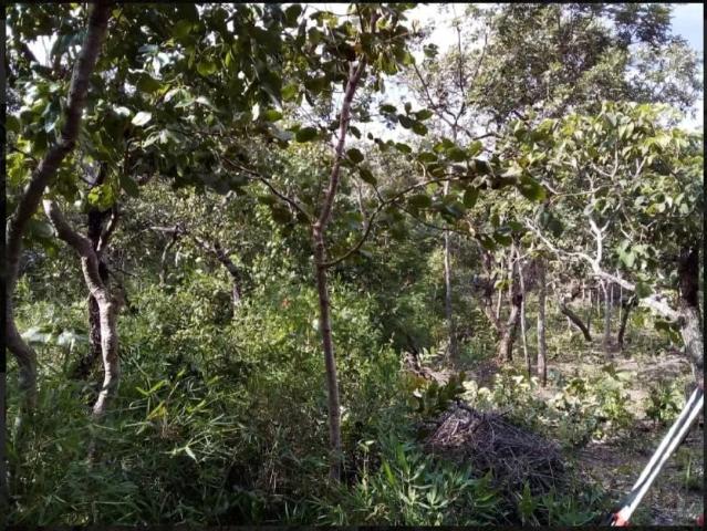 Sítio / Chácara para Venda em Senador Canedo/GO Condomínio Ecológico Mansões Morumbi