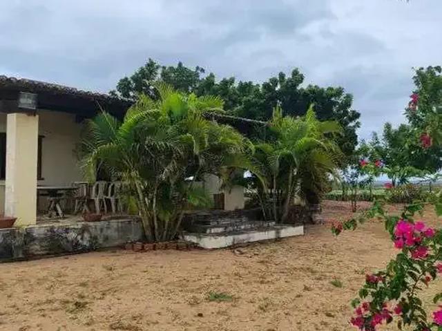 Sítio / Chácara para Venda em Senador Elói de Souza/RN Centro 4 Quartos