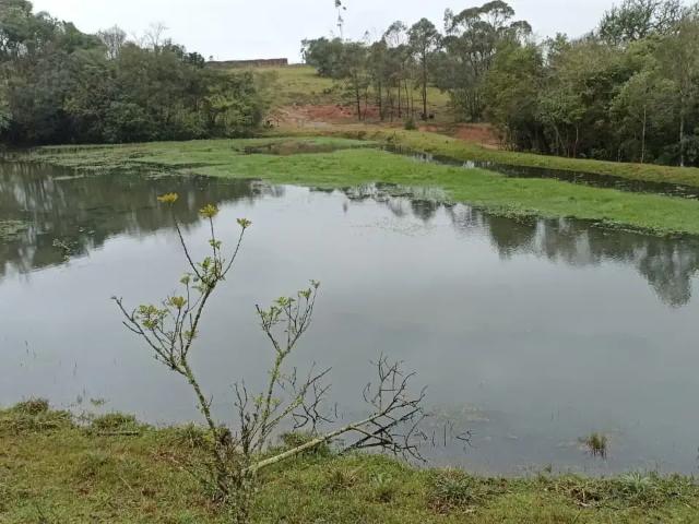 Sítio / Chácara para Venda em Sentinela do Sul/RS Zona Rural 1 Quartos