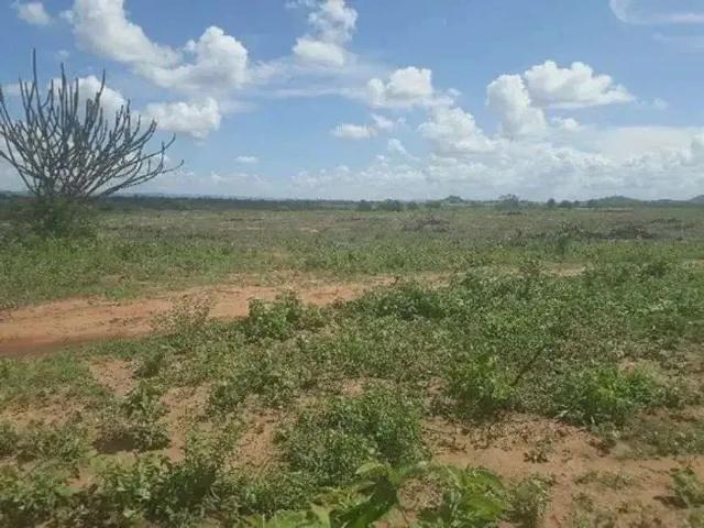 Sítio / Chácara para Venda em Serra Caiada/RN Centro 3 Quartos