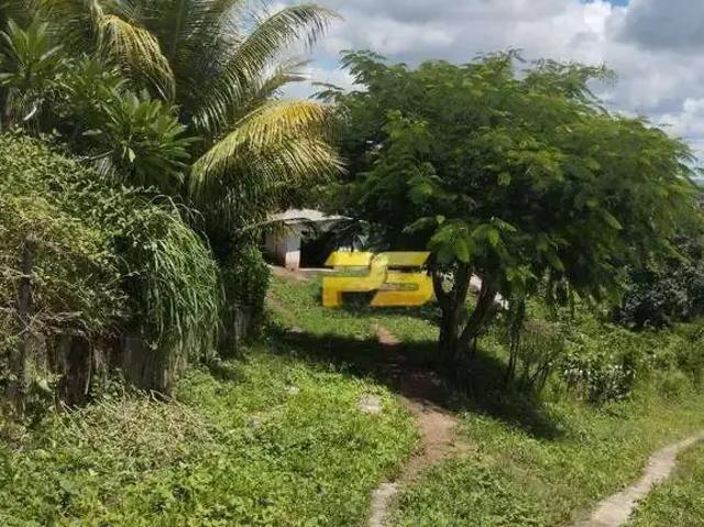 Sítio / Chácara para Venda em Serraria/PB Centro