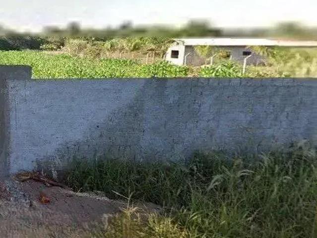 Sítio / Chácara para Venda em Sertaneja/PR Chácara Jabur