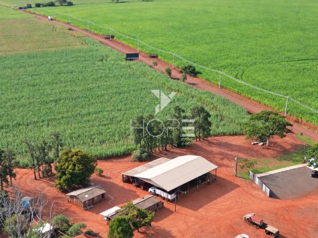 Sítio / Chácara para Venda em Sertaneja/PR Zona Rural