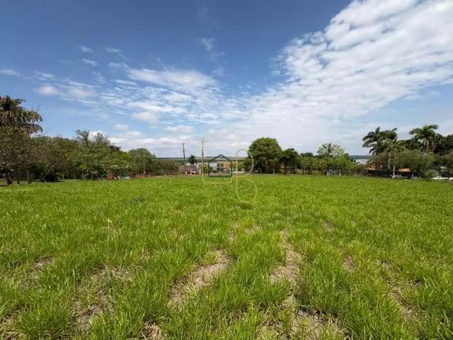 Sítio / Chácara para Venda em Sertanópolis/PR Centro