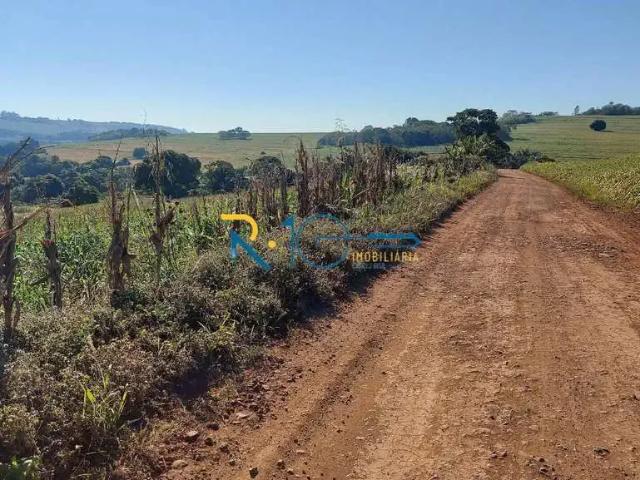 Sítio / Chácara para Venda em Sertanópolis/PR Zona Rural