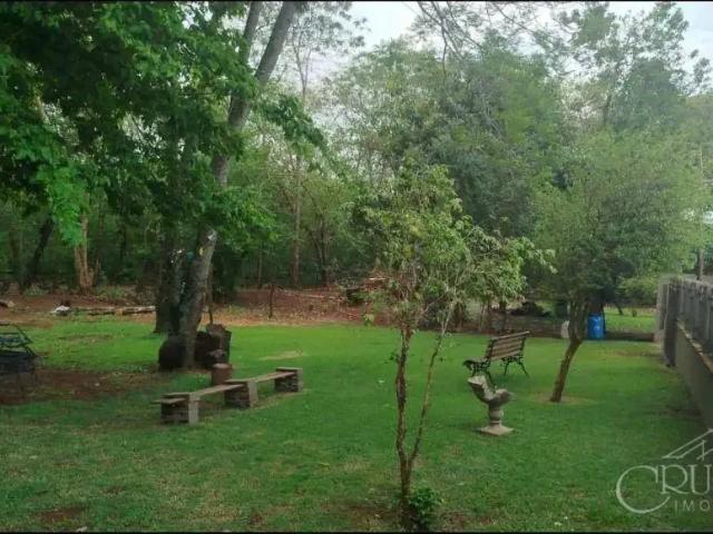 Sítio / Chácara para Venda em Sertanópolis/PR Zona Rural 3 Quartos