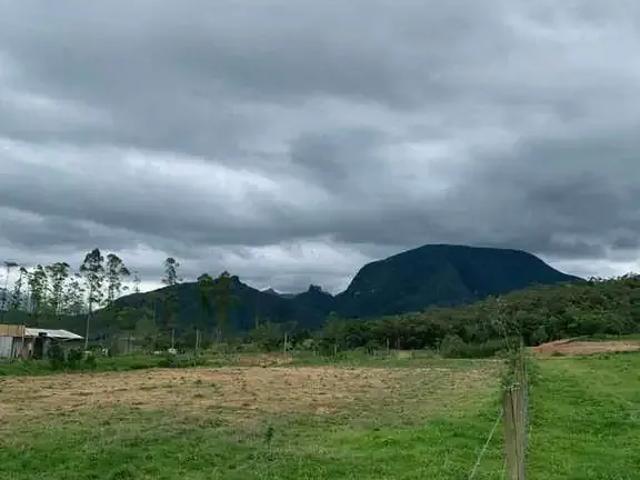 Sítio / Chácara para Venda em Siderópolis/SC Centro