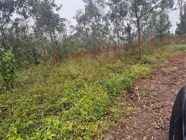 Sítio / Chácara para Venda em Siderópolis/SC Centro