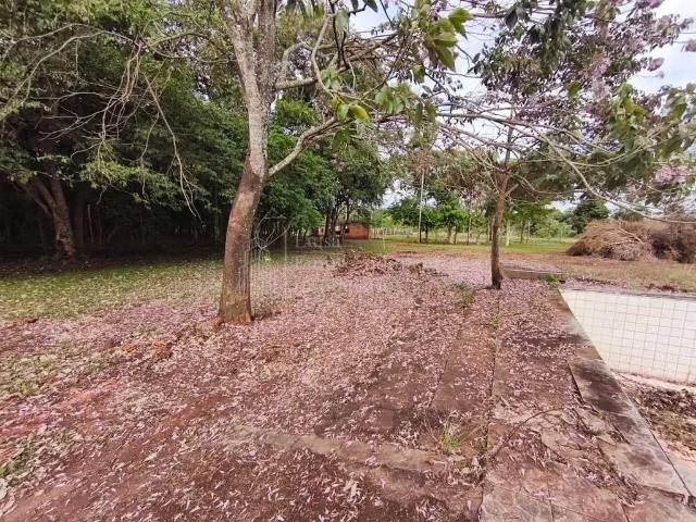 Sítio / Chácara para Venda em Sidrolândia/MS Zona Rural