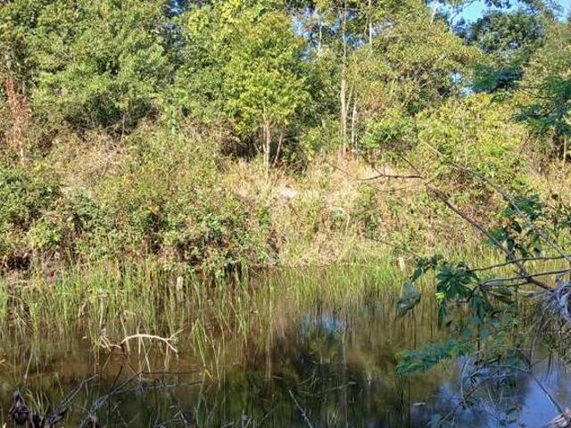 Sítio / Chácara para Venda em Silva Jardim/RJ Zona Rural 1 Quartos