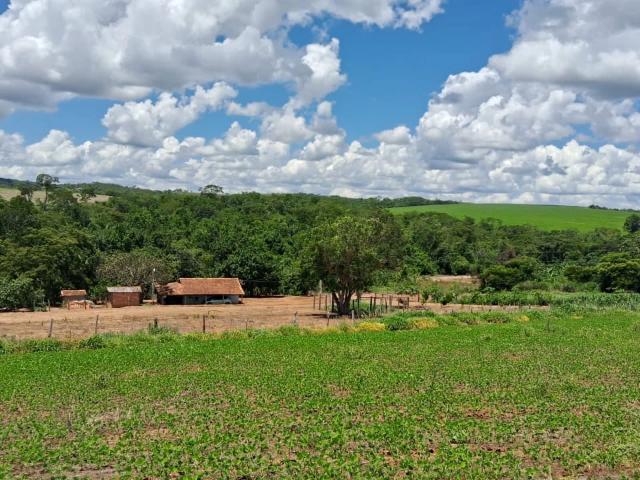 Sítio / Chácara para Venda em Silvânia/GO Zona Rural 3 Quartos