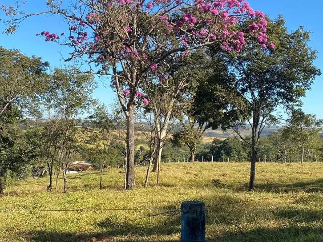 Sítio / Chácara para Venda em Silvânia/GO Zona Rural 4 Quartos