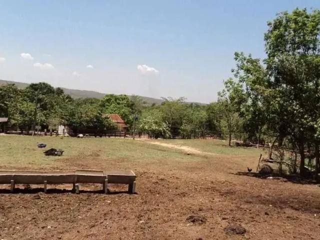 Sítio / Chácara para Venda em Silvânia/GO Zona Rural